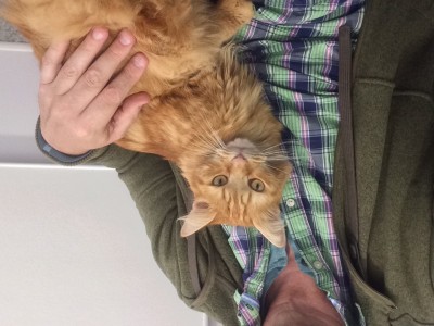 2016-10-27 14.47.20 HDR.jpg