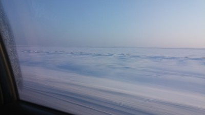 2016-11-21 15-47-27.JPG