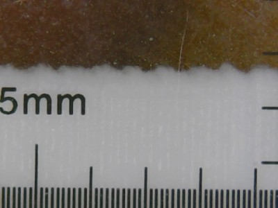 150um sample.jpg