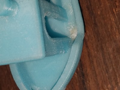 Blue-Benchy-seagull.jpg